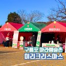 (12/10)크리스마스 캔들 | 구룡포 아라예술촌 삼삼하게 놀자구룡 미리크리스마스 행사 방문후기