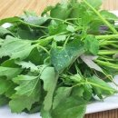 부지깽이 이미지