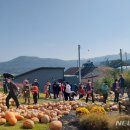 별똥농장 이미지