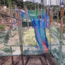 사화근린공원 이미지