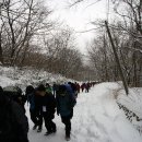 제27차 정기산행 강원 태백산(1567m) 이미지