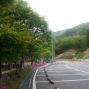사진.지번:청평사유원지앞 춘천청평리환상적인경관임야투자용(평당3000원) 이미지