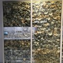 덤벙분청공원 이미지