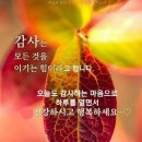 "'여의도한강공원 파크골프장'을 찾아서"＜2023.09.22(금)＞ 이미지