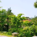 예술자연농식품 이미지