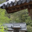 고려동유적지 이미지