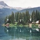 주무시5 이미지