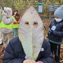 구립초롱별어린이집 이미지