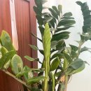 (주)더메이트 이미지