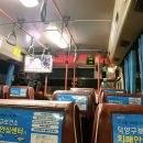 금릉카센터 | 여자혼자 제주여행 1