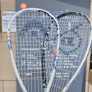 보령종합체육관 스쿼시장 이미지