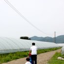 기주농장 이미지