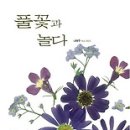놀다 Daum카페