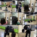 방역하기좋은날