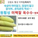 바우농장2 네이버블로그