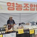 영농조합법인 서친숲