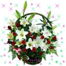 두환목장 이미지