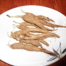 강원도 민둥산 더덕~ 2015년 더덕 입니다. 이미지