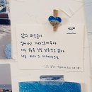 동해시향로청소년문화의집 | [동해 묵호] 비가 와도 좋아! 묵호 뚜벅이 여행 1일차...활어회센터ㅣ끼룩상점ㅣ트와ㅣ향로청소년문화의집