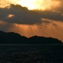 요기디저트 이미지