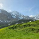 미네랄쌀 이미지