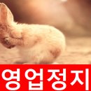 영남행정사 이미지