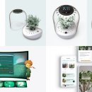 팀디자인 이미지