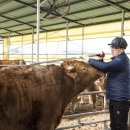 K-farm농장 이미지