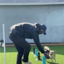 GPS 애견학교 이미지