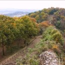 보은 삼년산성 이미지