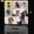 안아줄개 - 하남시 미사강변한강로220번길 44 | 안아줄개