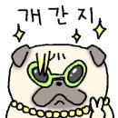 라인댄스 (입문) 이미지