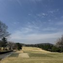 시그너스클럽하우스 | 충북 충주 골프장 시그너스CC 벚꽃 라운드 후기