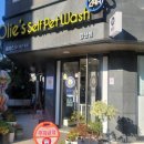 올리스 펫 호텔 이미지