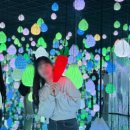 인형의 거리(토끼) | 강원도 강릉 놀거리 아르떼뮤지엄, 달토끼 특별전 평일 후기! (DARA 영접!)