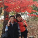 대둔산장 이미지