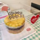 [오늘의맛집] 저당 비건 케이크 및 디저트 맛집 대흥역 줄리아스케이크룸