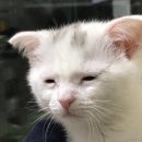 삼풍빌딩 | [미국-뉴욕]911박물관&amp;MOMA미술관 무료입장 방법💸‼️/후기✏️