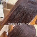 마이린 헤어