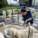 남주목장 이미지