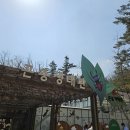 숲뒤1 | 2025 화담숲 예약 방문 후기! 4월 4일 벚꽃, 봄 수선화 축제 개화 실시간 정보