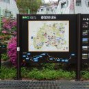 화천산천어펜션B Daum카페
