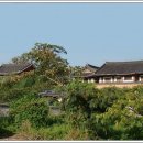 월산사 네이버블로그