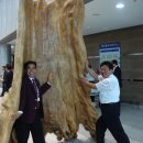 천안시청 봉서홀 이미지