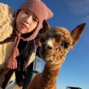 설현농장 이미지