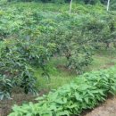 석문농장 이미지