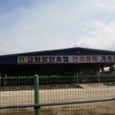전라도가축 티스토리