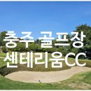 충주 골프장 금강 센테리움CC 라운딩후기