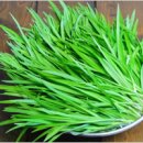 광(光)농장 이미지