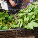 윤진농장 이미지